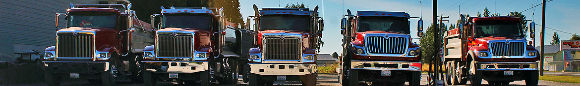 arne svendsen trucks lined up